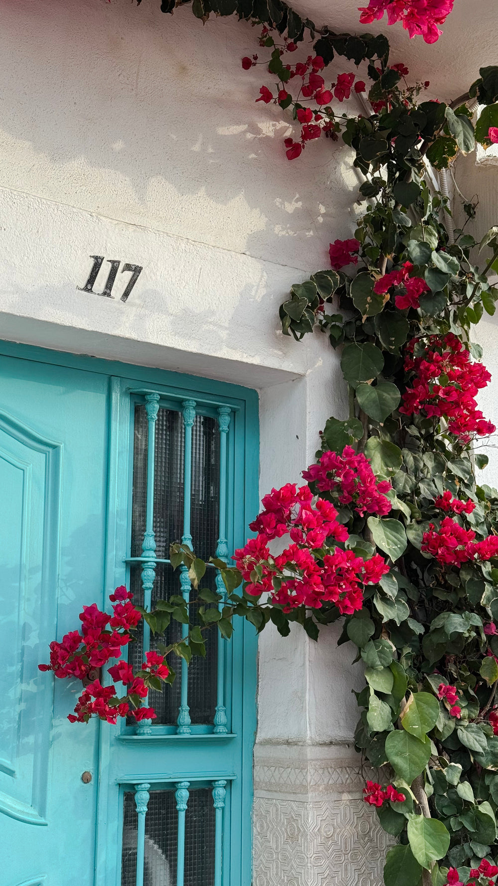 bajo_la_luz_de_malaga_flores_en_portal